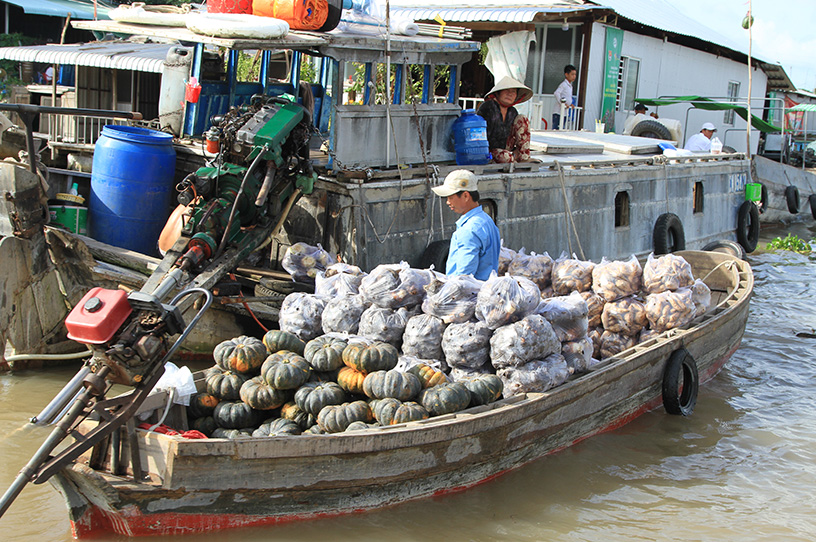 A boat filled with agricultural products on the floating market