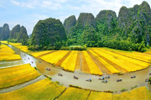 Travel experience in Trang An