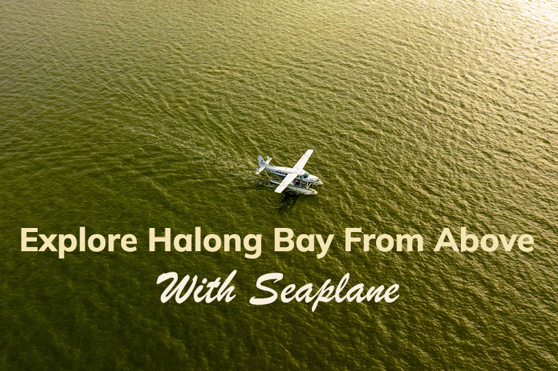 Explore Halong Bay from Above with Seaplane
