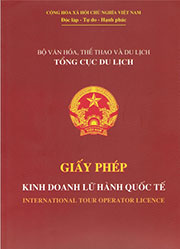 international tour operator licence